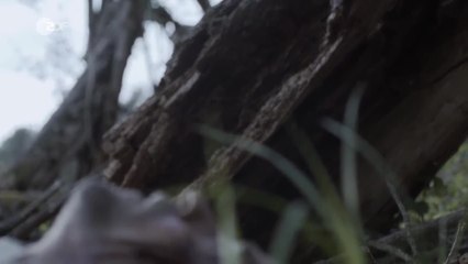 Totengebet - Clip (Deutsch) HD