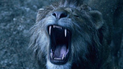 Der KÃ¶nig der LÃ¶wen - TV Spot Kingdom (Deutsch) HD