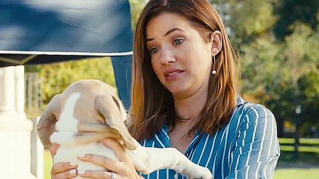 Wie erziehe ich meinen Mann?