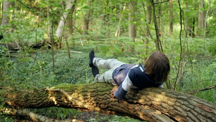 Sterne Ã¼ber uns - Trailer (Deutsch) HD