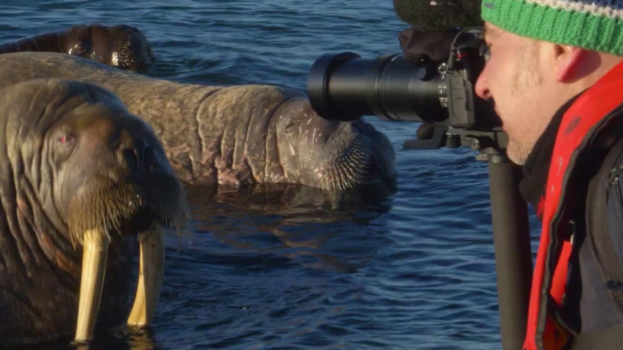 Spitzbergen auf Expedition in der Arktis - Trailer (Deutsch) HD