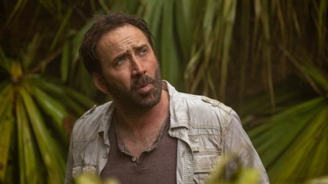 Nicolas Cage wird zum Tiger King