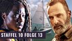 Michonne: Tod oder Teil der Rick Grimes Filme? | The Walking Dead Staffel 10 Folge 13