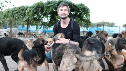 Cody Wie ein Hund die Welt verÃ¤ndert - Trailer (Deutsch) HD