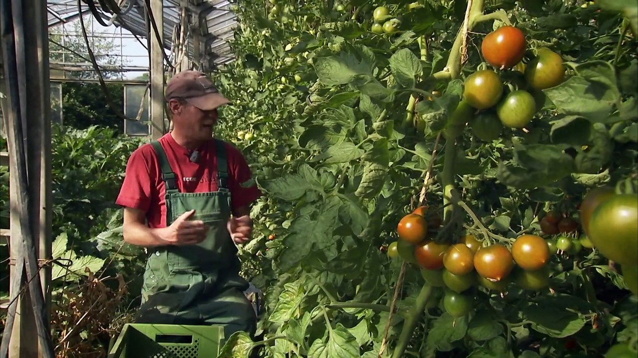 Die Heimreise - Trailer (Deutsch) HD