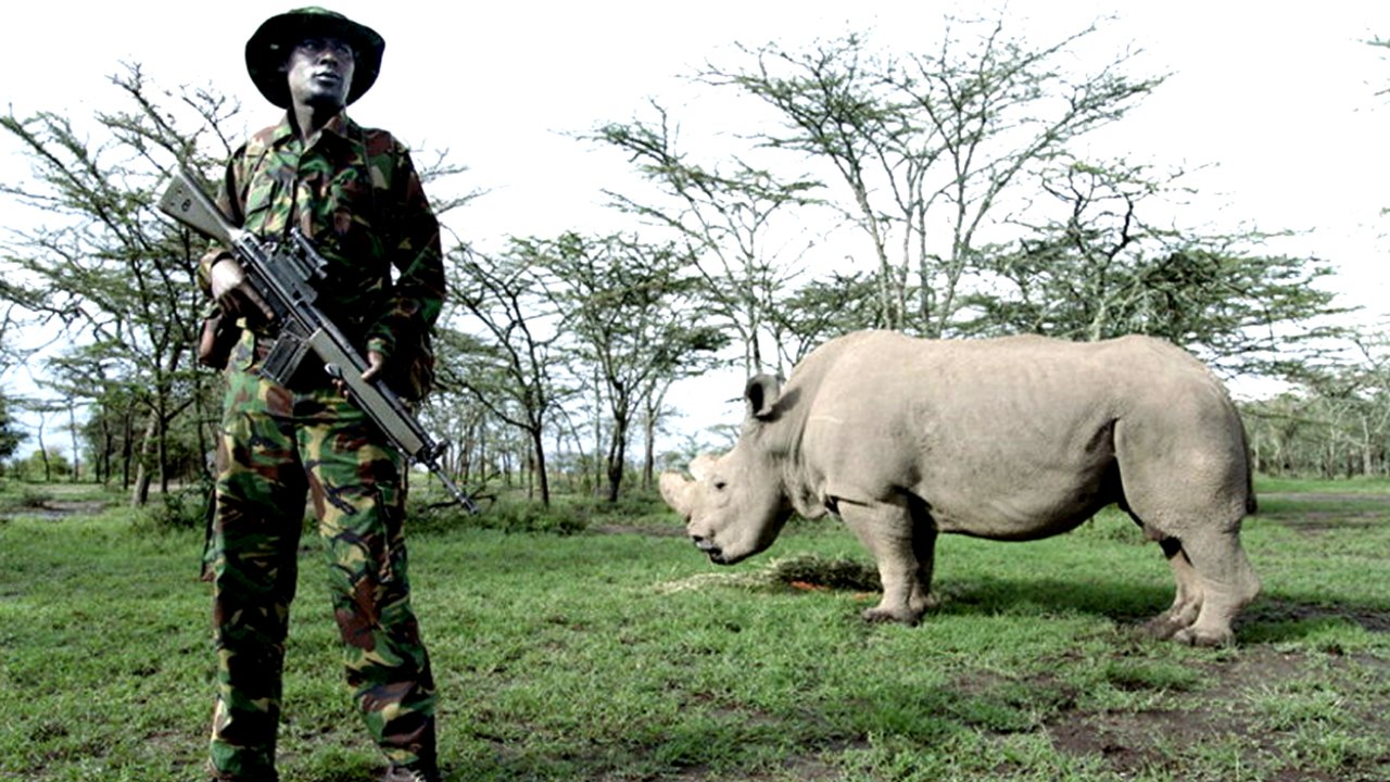 Die Epoche des Menschen - Trailer (Deutsch) HD