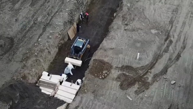 Totally Under Control