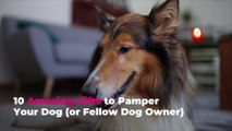 10 Amazing Gifts to Pamper Your Dog (or Fellow Dog Owner)