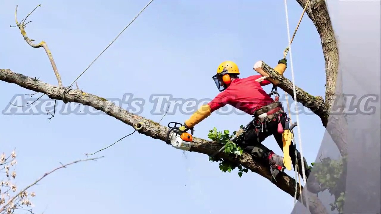 Axe Men's Tree Service LLC