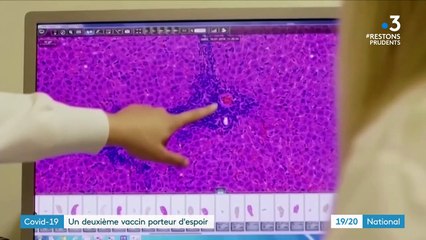 Coronavirus : un nouveau candidat vaccin annoncé, efficace à 94,5%