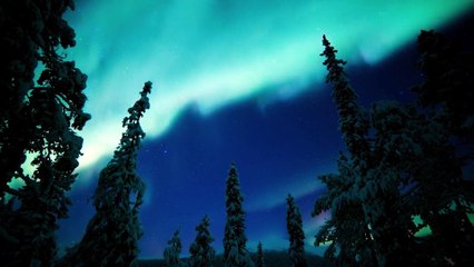 Earth At Night In Color Documentary - Narrated by Tom Hiddleston