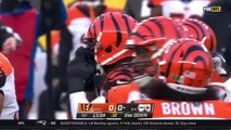 NFL 2020 Cincinnati Bengals vs Pittsburgh Steelers Full Game Week 10