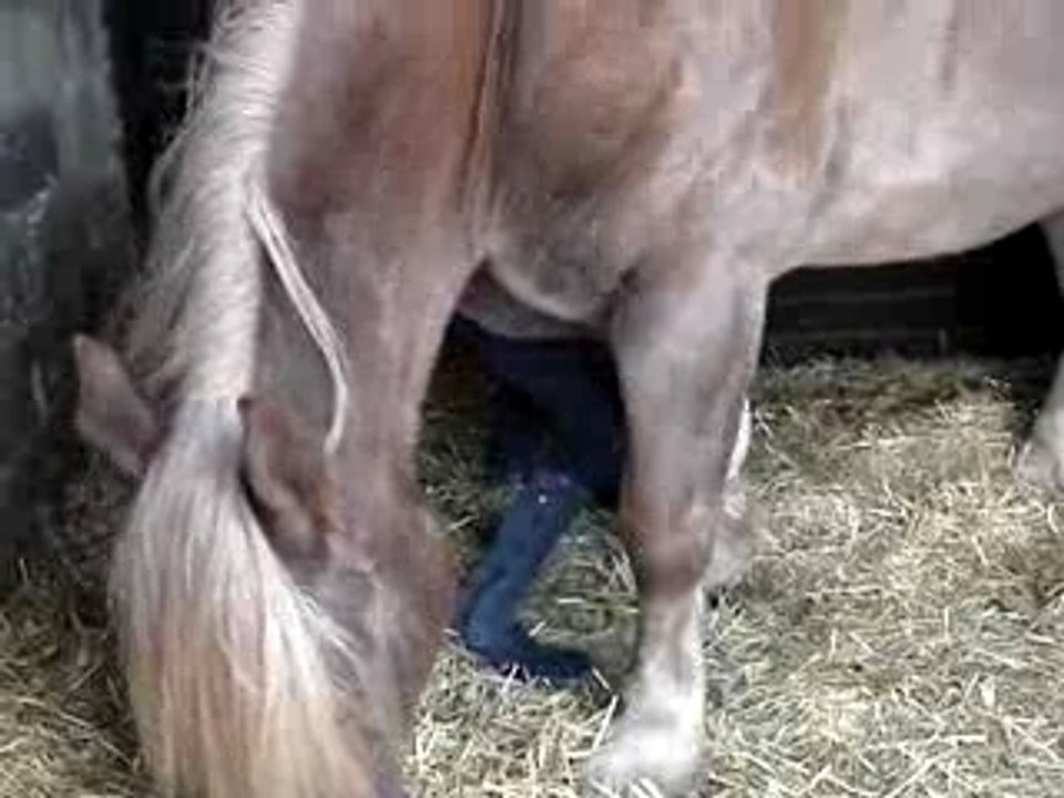 Cosaque et le curage...