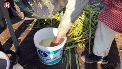 UNUTULMAYA YÜZ TUTAN LEZZETİ HAYATA DÖNDÜRDÜLER