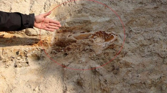 Edirne’de 8 milyon yıllık mamut fosilleri bulundu