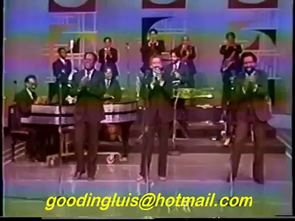 SALSAGORDA TELEVISION