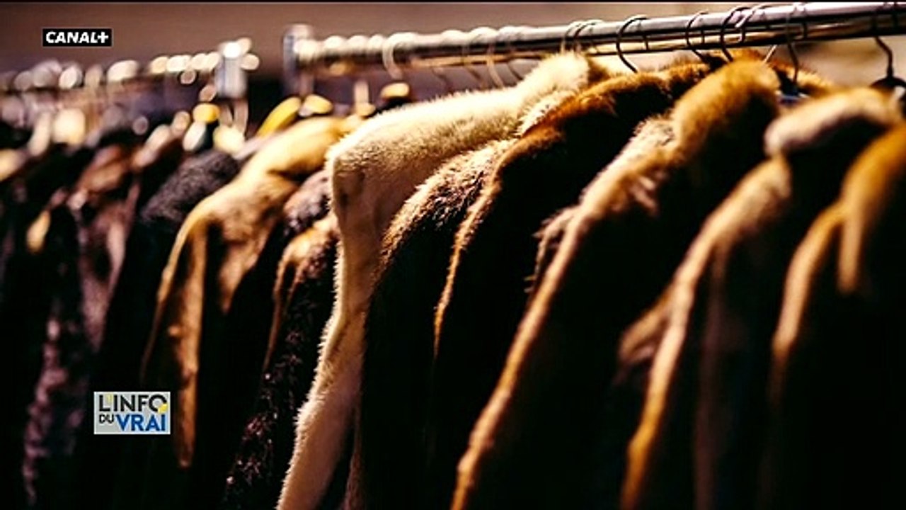 Coronavirus: Des arnaques aux aides ont été décelées - La fraude aurait atteint 225 millions d'euros lors du premier confinement, mais elle se chiffrerait désormais en millards