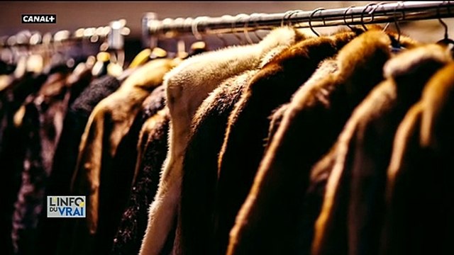 Coronavirus: Des arnaques aux aides ont été décelées - La fraude aurait atteint 225 millions d'euros lors du premier confinement, mais elle se chiffrerait désormais en millards