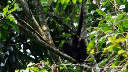 Mysteries of the Mekong S01E02 - Laos The Mountain Wilds