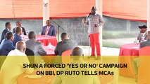 Shun a forced 'yes or no' campaign on BBI, DP Ruto tells MCAs