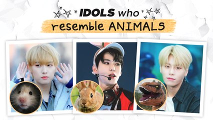 [Pops in Seoul] Idol World's Animal Crossing  [K-pop Dictionary]