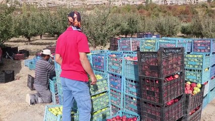 KARAMAN - Esentepe Mahallesi'nin emekli ve üniversite mezunu çiftçileri