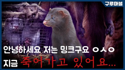[구루마블] 안녕하세요, 저는 밍크고요... 지금 죽어가고 있어요... / YTN