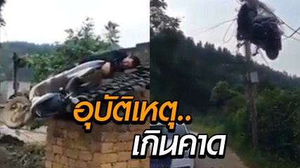 โลกเราแปลกเกินไปแล้ว !! คลิป อุบัติเหตุเกินคาดการณ์ เรื่องแบบนี้เกิดขึ้นได้จริงเหรอ ?