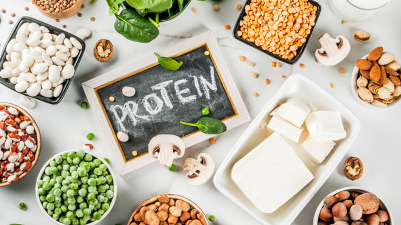 4 sustitutos de las proteínas animales