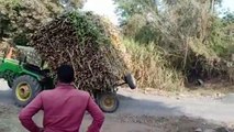 Tractor accident on road | The trolley full of sugarcane fell on the tractor | Accident due to a sudden turn of the trolley