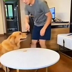 Un miracle de la vie très amusante