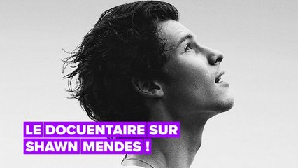 Ce que l'on sait du documentaire Netflix de Shawn Mendes