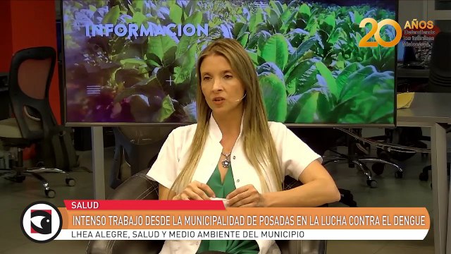 Intenso trabajo desde la municipalidad de Posadas en la lucha contra el dengue