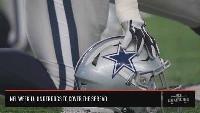 NFL Week 11 Underdogs: Which Teams Will Cover The Spread