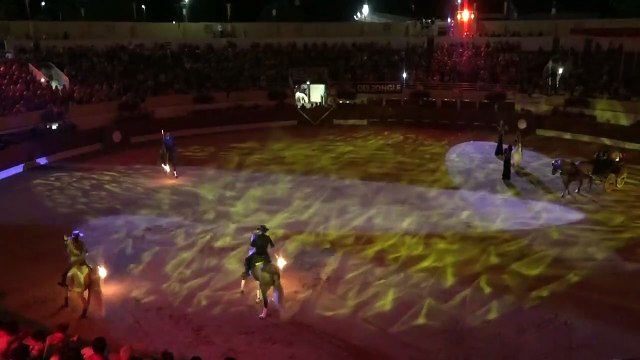 31.07.18 Hagetmau Dargelos Club Boletero Landes Emotions Spectacle Equestre