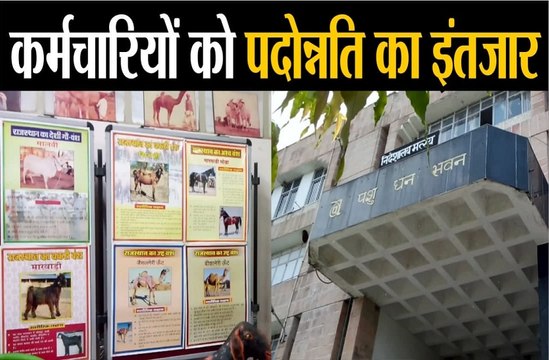 सरकारी निर्देशों की अनदेखी, कर्मचारियों को नहीं मिल रही पदोन्नति