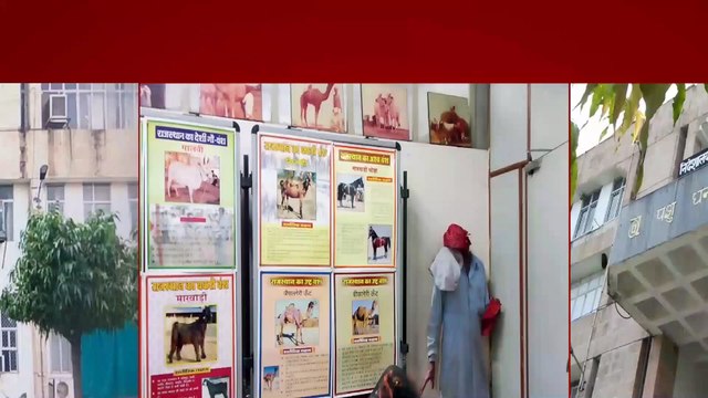 सरकारी निर्देशों की अनदेखी , कर्मचारियों को नहीं मिल रही पदोन्नति