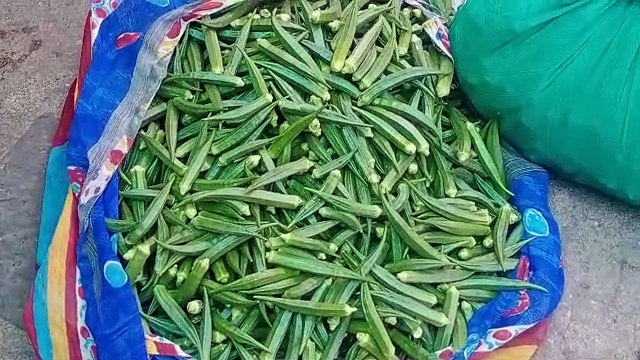 सब्जी के भाव गिरे, व्यापारी व किसान परेशान, खरीदार खुश