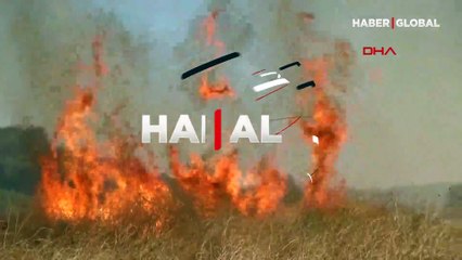 Antalya'da makilik alanda yangın