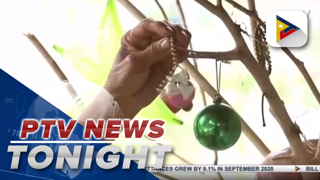 Christmas tree put up amid cleanup video Dailymotion