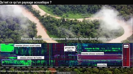 Conférence  "Les effets du confinement sur l'environnement" - Partie 1