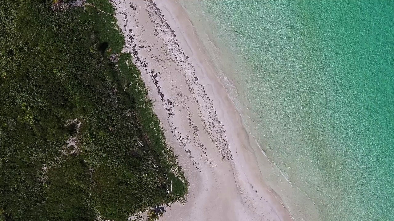 Sea Beach Oceannatural beautiful royalty Free Stock no copyright video Free for commercial use dron dron aerial view