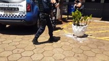 Mulher é detida em ação da Guarda Municipal através de mandado de prisão