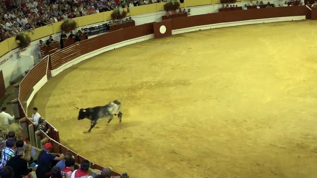 31.07.18 Hagetmau Dargelos Club Boletero Landes Emotions Toro Emotions de Malabat