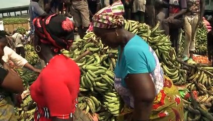 Le 23 Heures de RTI 1 du 16 novembre 2020 par Abdoulaye Koné