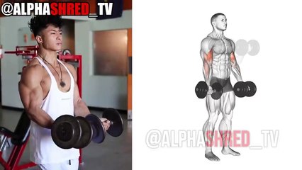 BEST 10 Dumbbell Arms Exercises For Serious Growth - Mr. Perfect