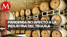 Exportación de tequila creció 13.5% en últimos 10 meses pese a covid-19: CRT
