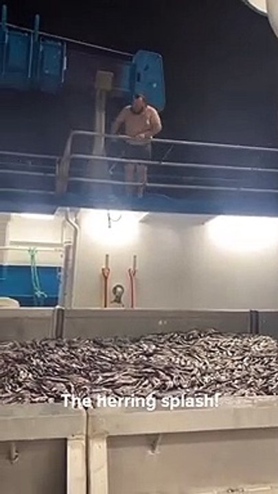 Comme un poisson dans l'eau... Splash