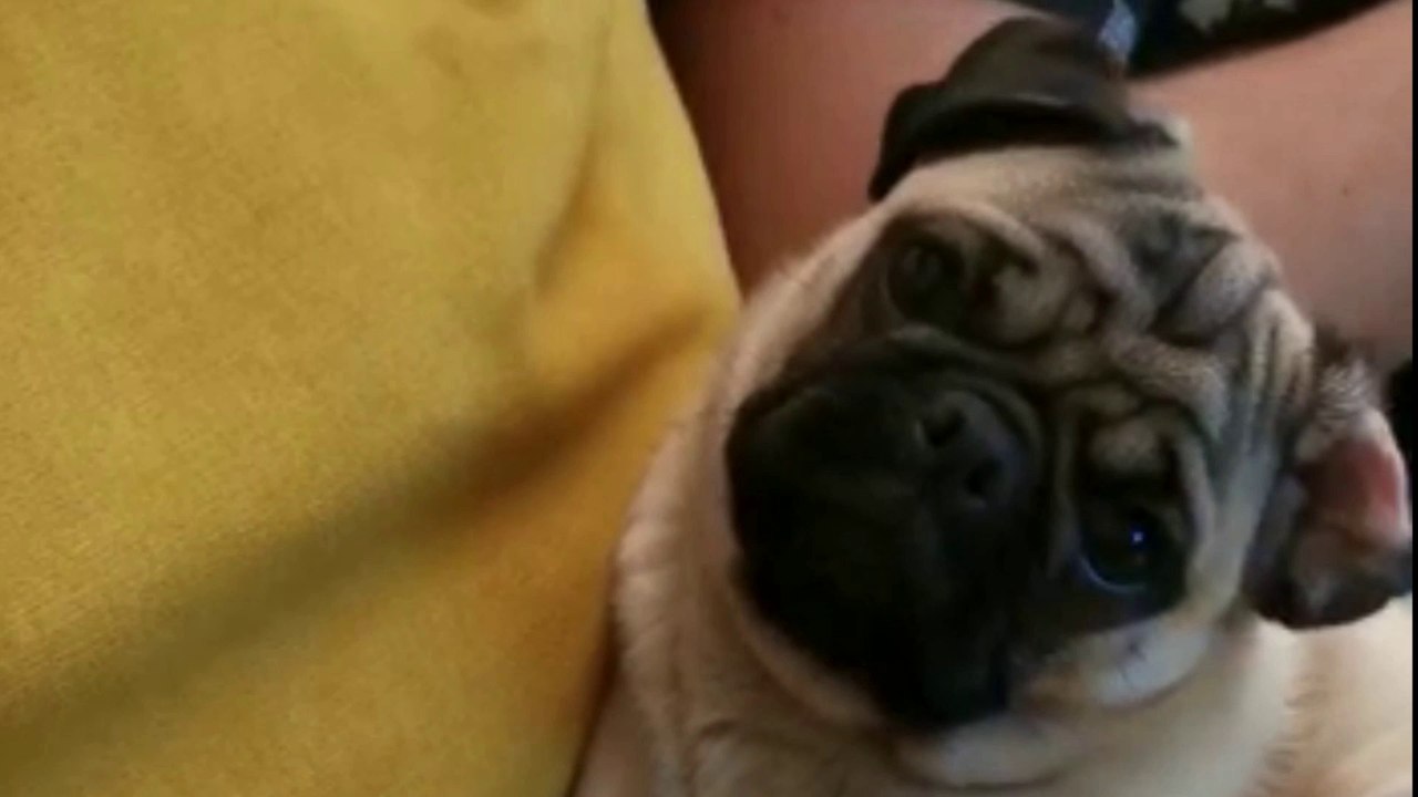 Berta auf Fuerteventura 03