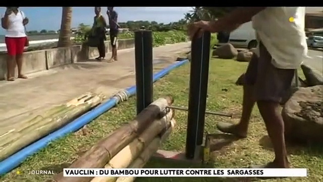 Stephane Bero est un marin-pêcheur vauclinois qui installe son barrage anti-sargasse avec du bambou